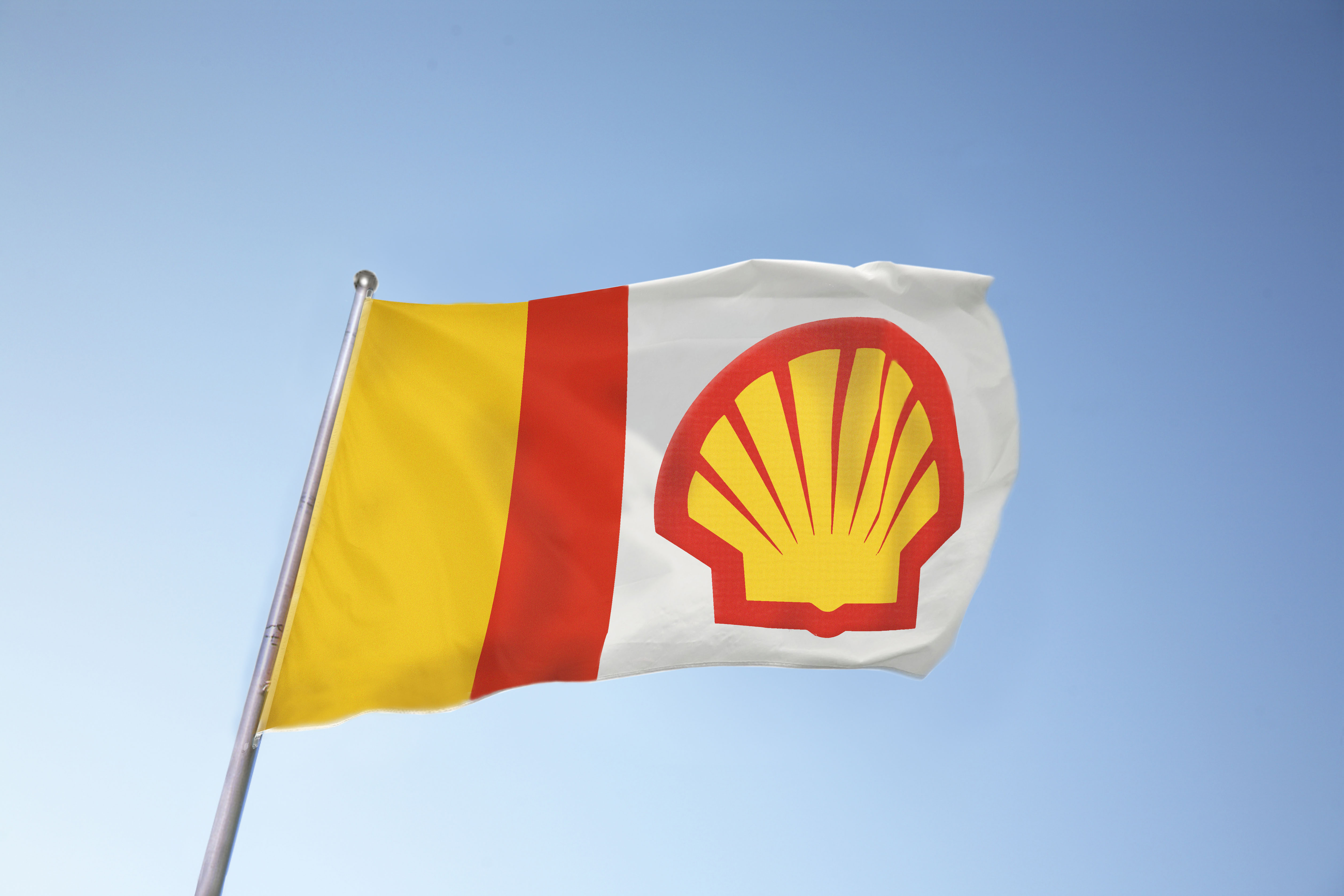 От ракушек – до мирового концерна: пять вдохновляющих фактов о Shell